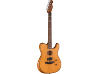 Fender Acoustasonic Standard Tele AGN Fender Acoustasonic Standard Tele AGN